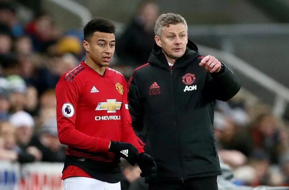 他们将综合 他们将综合